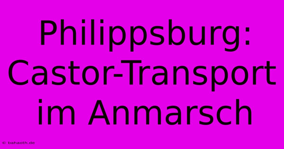 Philippsburg: Castor-Transport Im Anmarsch