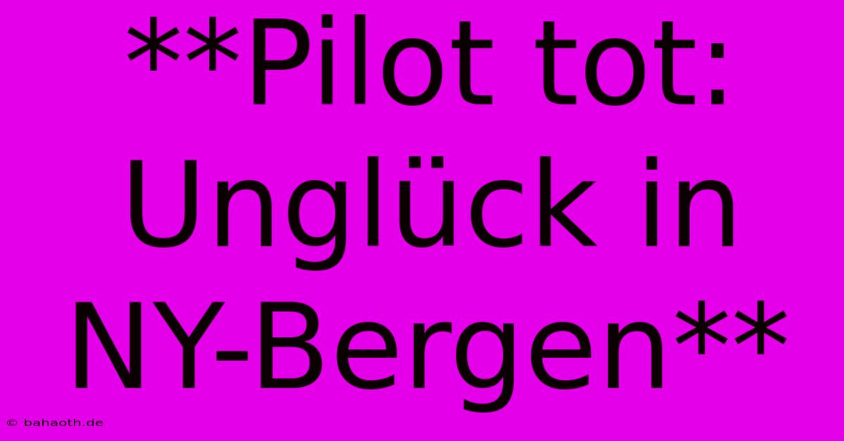 **Pilot Tot: Unglück In NY-Bergen**