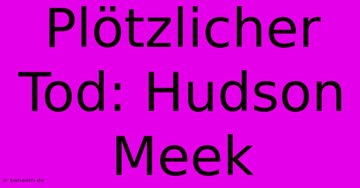 Plötzlicher Tod: Hudson Meek