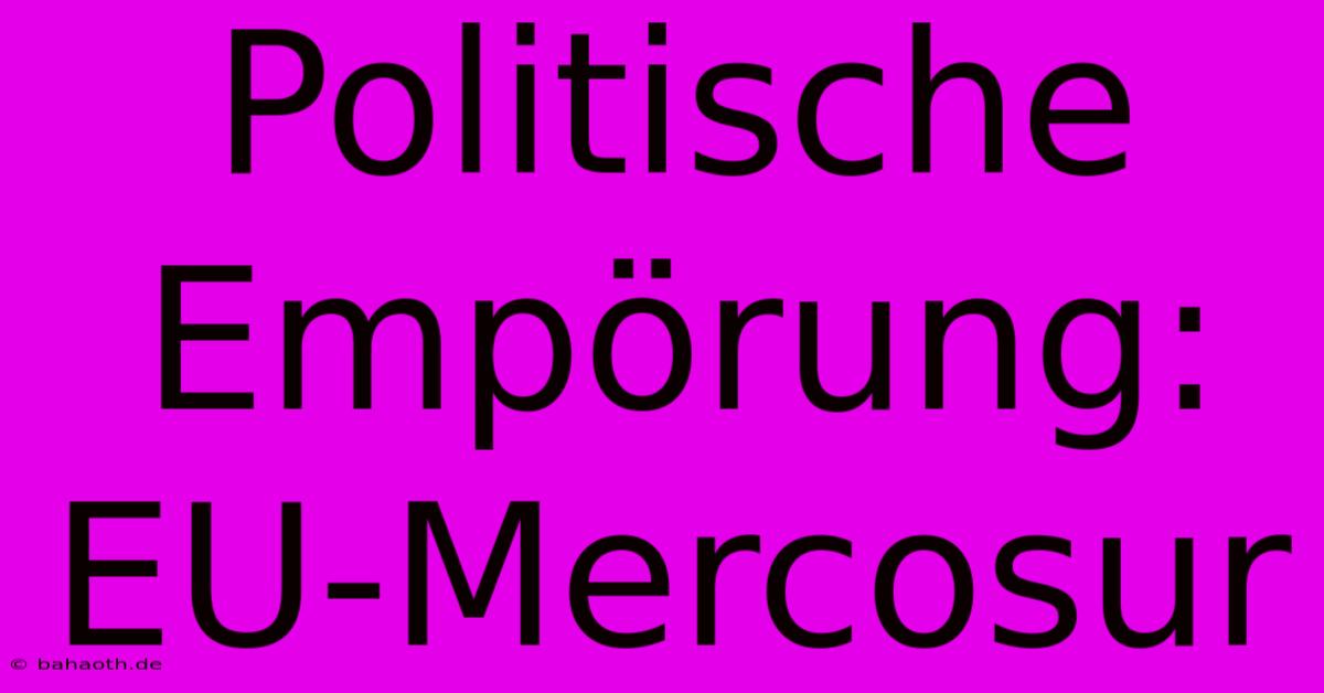 Politische Empörung: EU-Mercosur