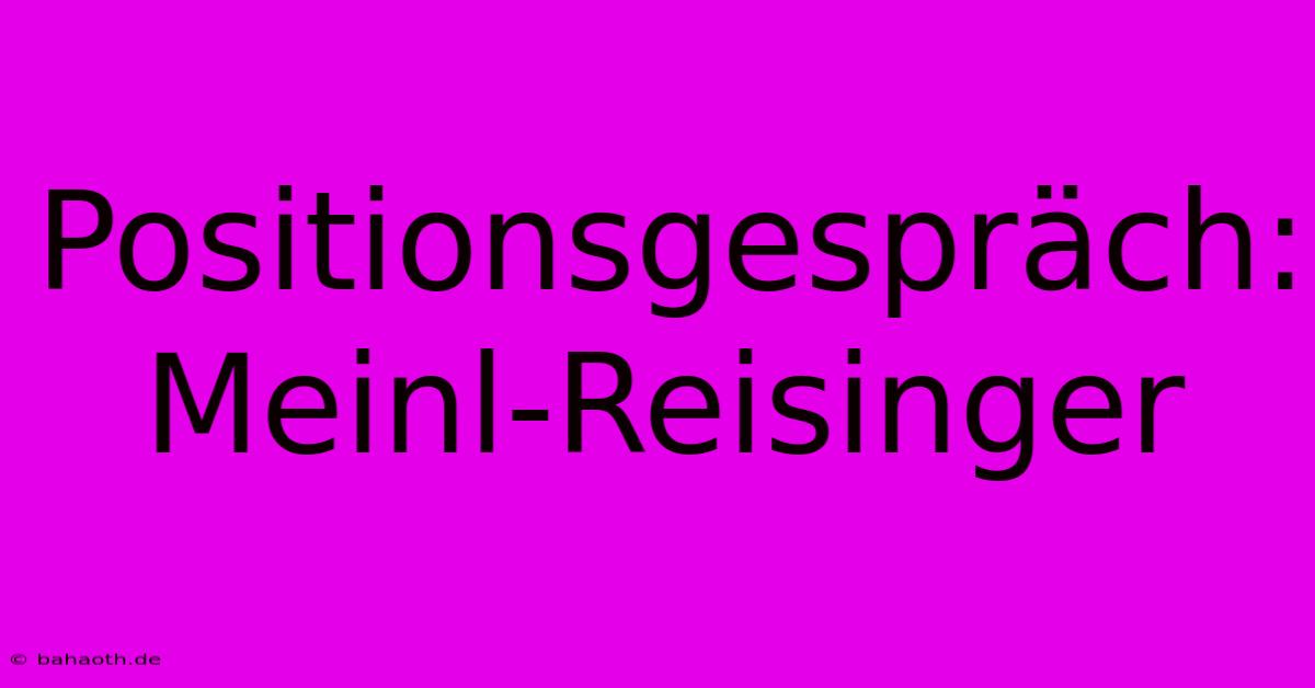 Positionsgespräch: Meinl-Reisinger