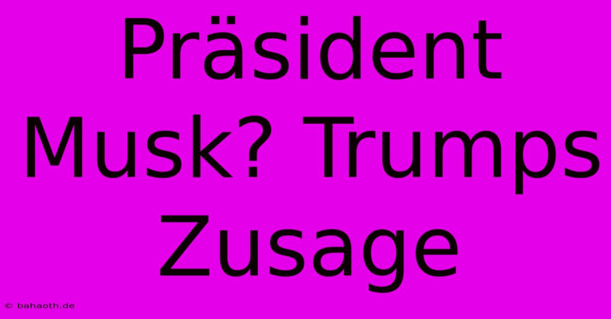 Präsident Musk? Trumps Zusage