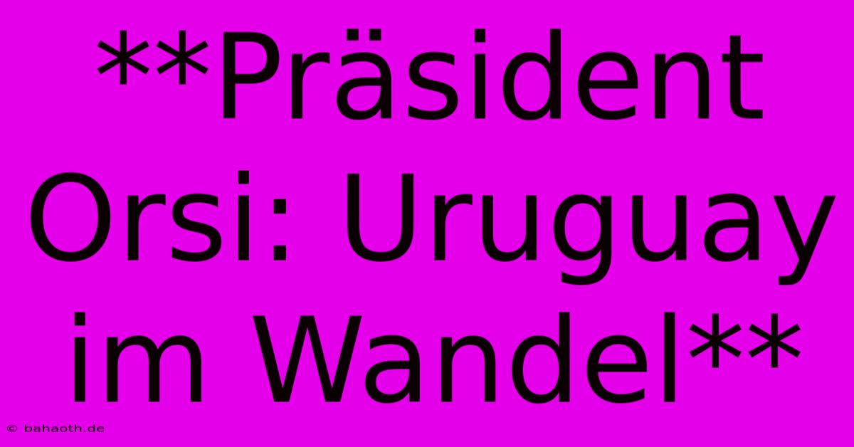 **Präsident Orsi: Uruguay Im Wandel**