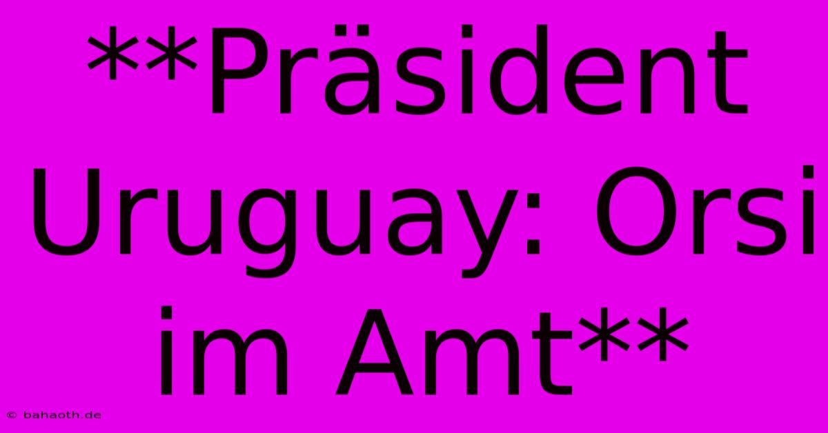 **Präsident Uruguay: Orsi Im Amt**