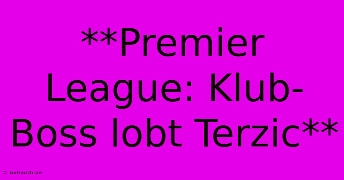 **Premier League: Klub-Boss Lobt Terzic**