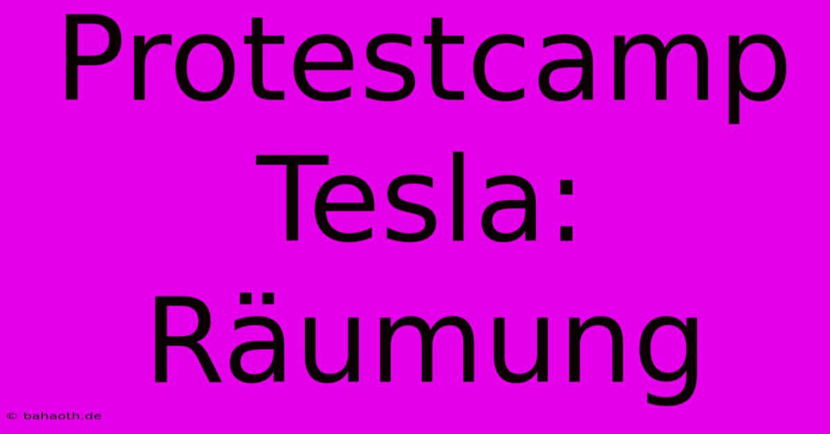 Protestcamp Tesla: Räumung