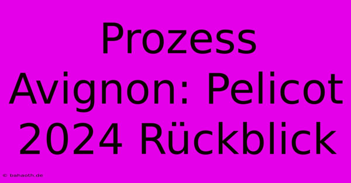 Prozess Avignon: Pelicot 2024 Rückblick