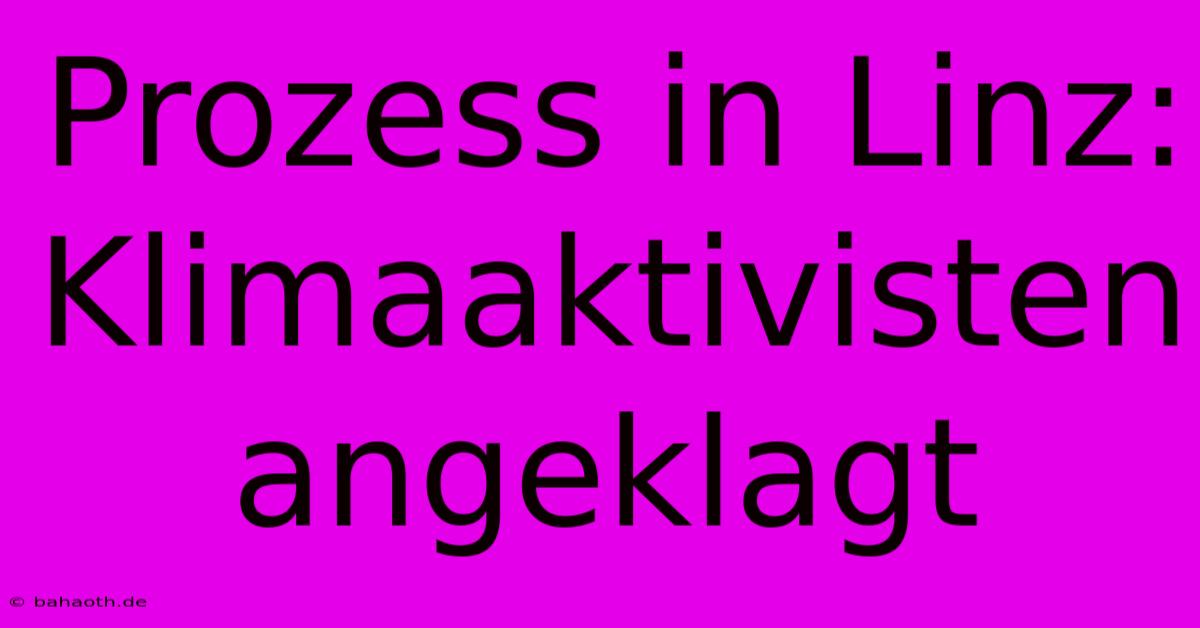 Prozess In Linz: Klimaaktivisten Angeklagt