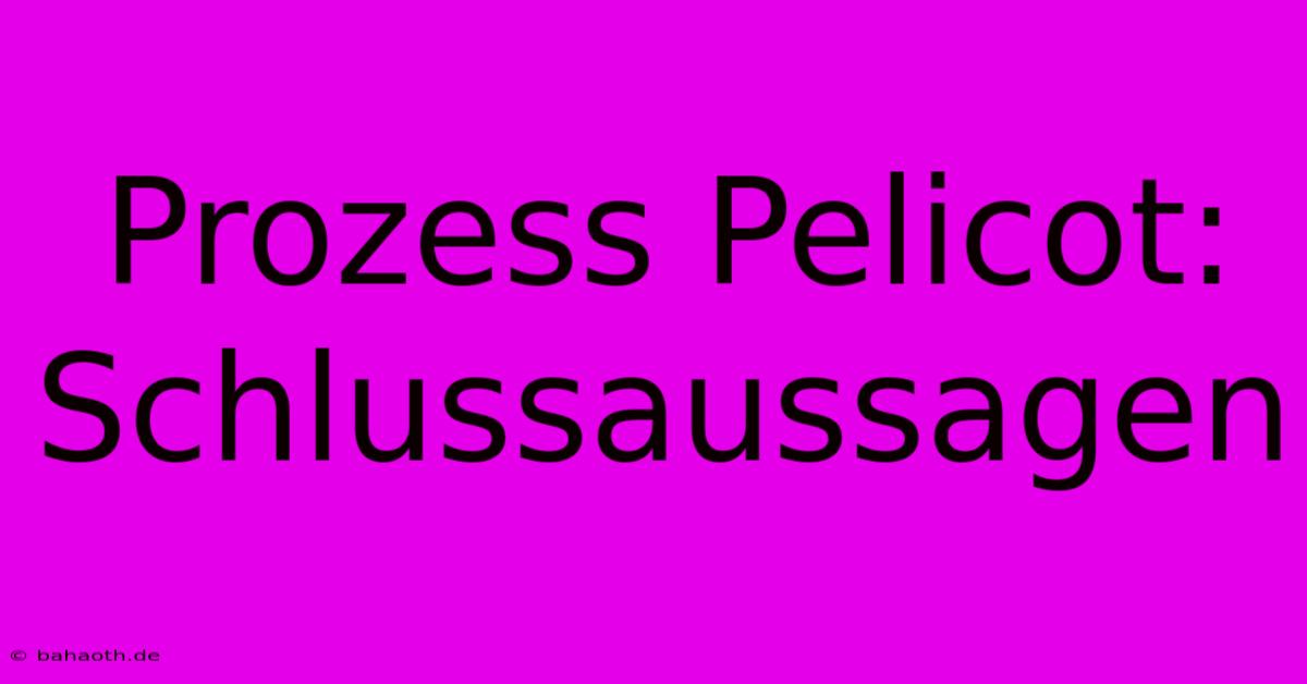 Prozess Pelicot: Schlussaussagen