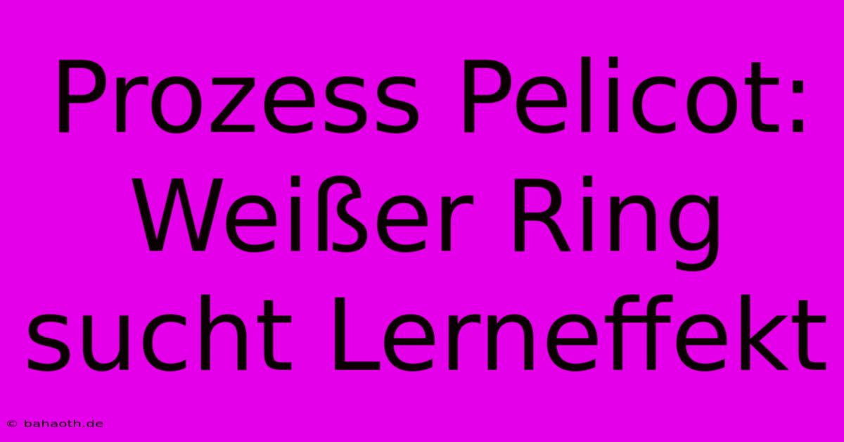 Prozess Pelicot:  Weißer Ring Sucht Lerneffekt