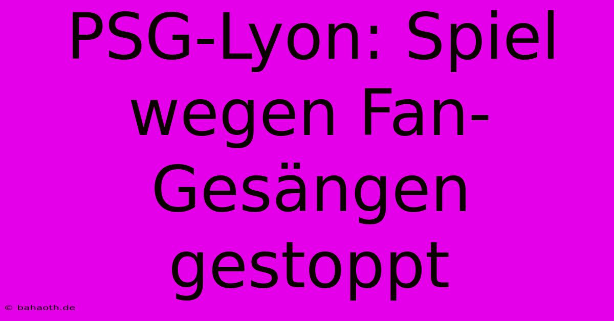 PSG-Lyon: Spiel Wegen Fan-Gesängen Gestoppt