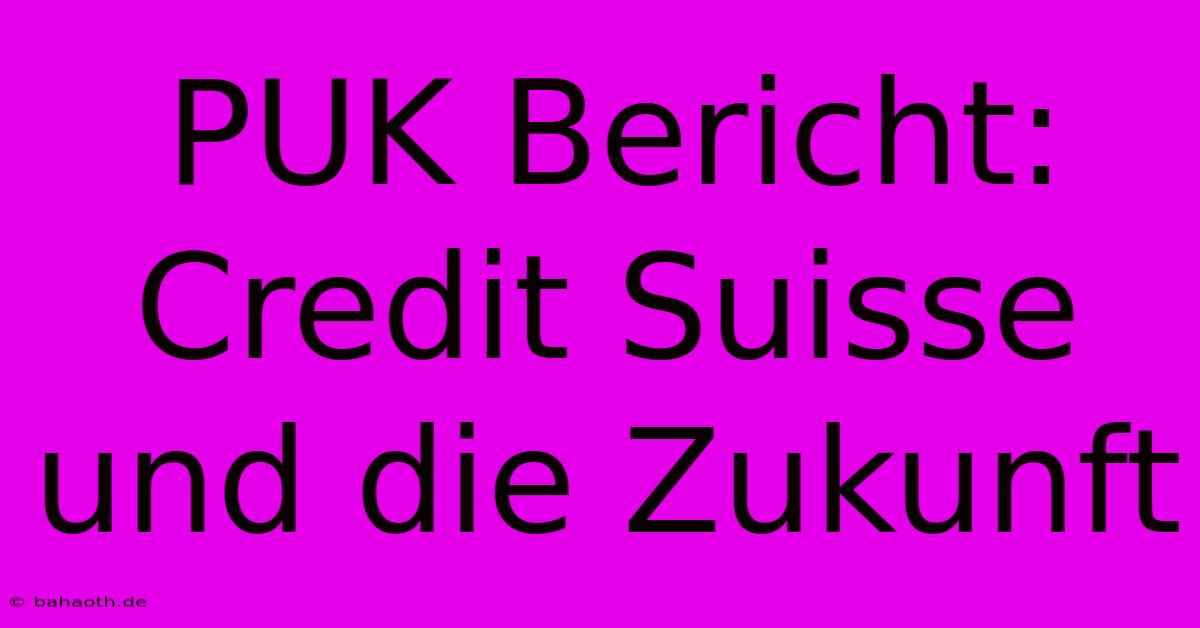 PUK Bericht: Credit Suisse Und Die Zukunft