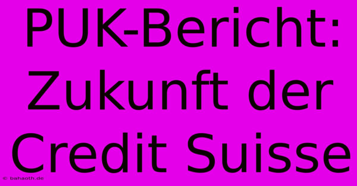 PUK-Bericht:  Zukunft Der Credit Suisse