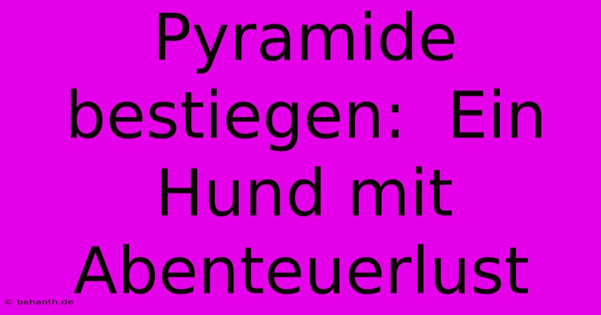 Pyramide Bestiegen:  Ein Hund Mit Abenteuerlust