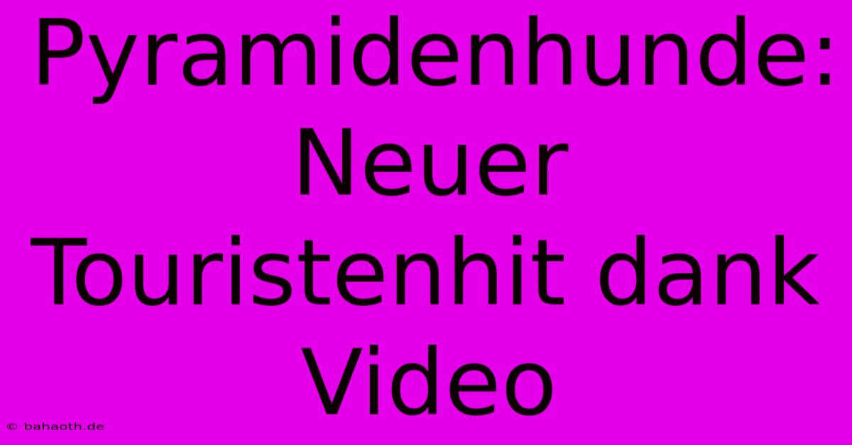 Pyramidenhunde: Neuer Touristenhit Dank Video