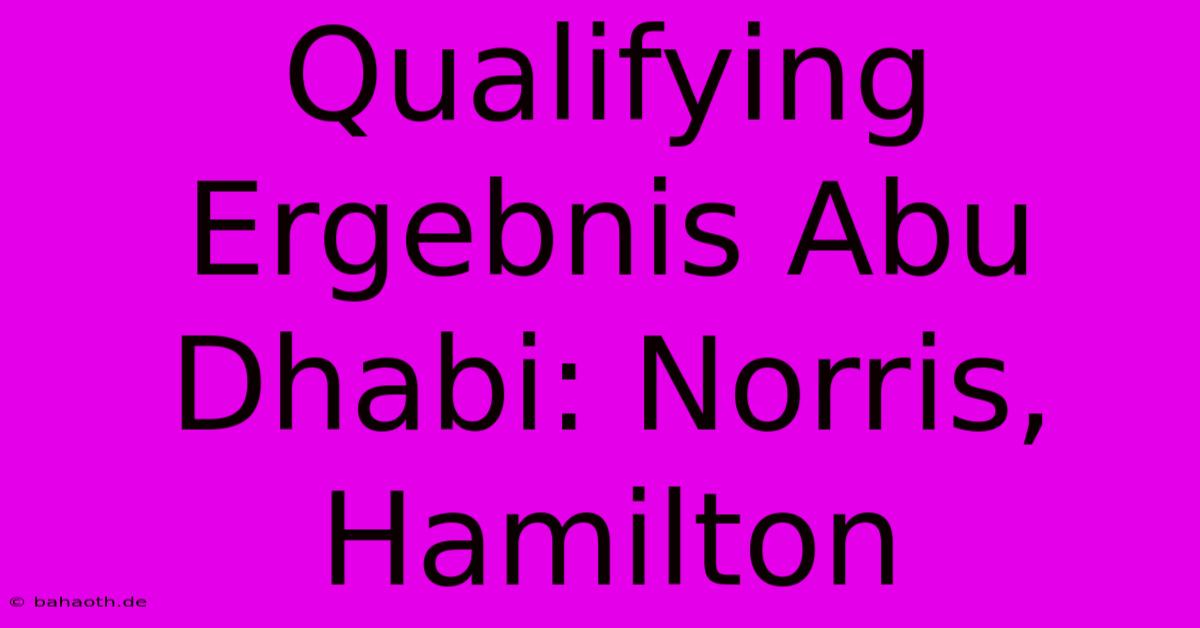 Qualifying Ergebnis Abu Dhabi: Norris, Hamilton