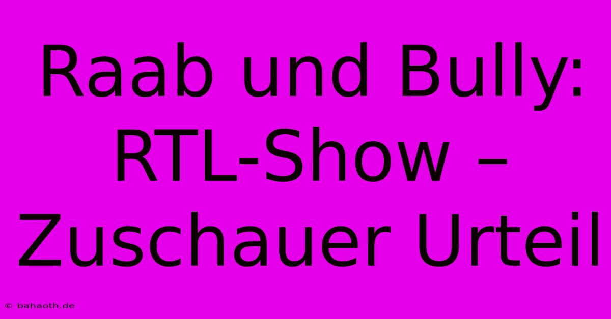 Raab Und Bully: RTL-Show – Zuschauer Urteil