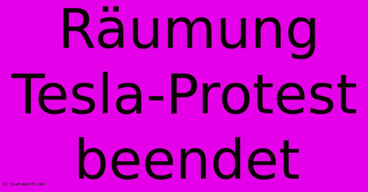 Räumung Tesla-Protest Beendet