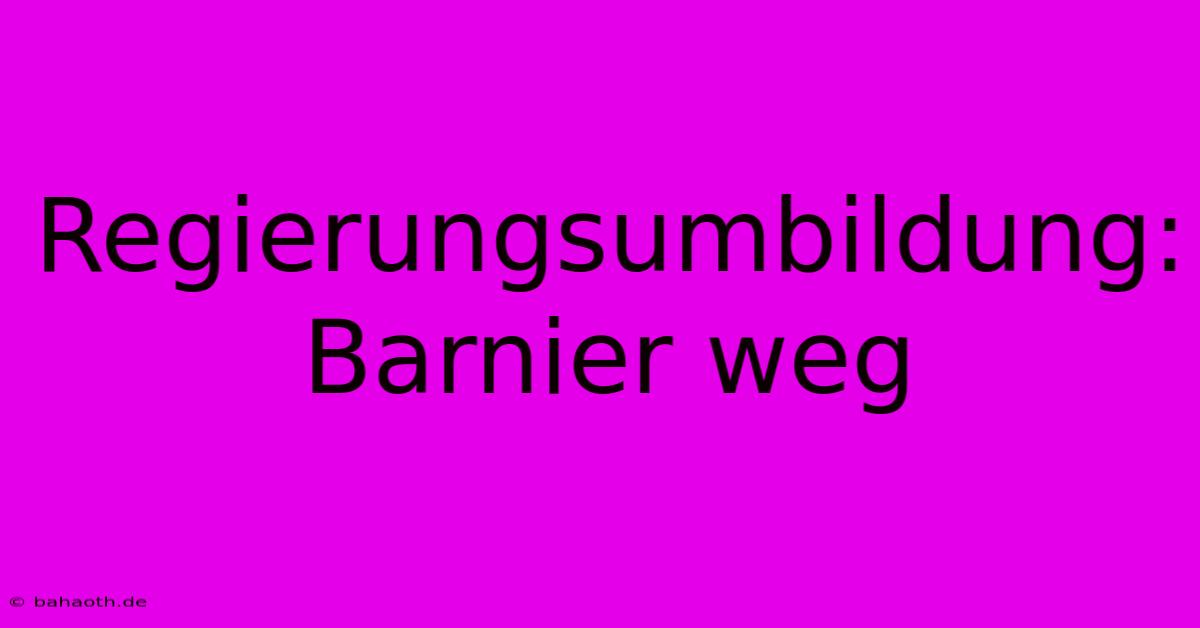 Regierungsumbildung: Barnier Weg