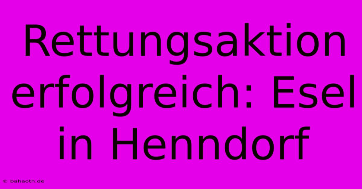 Rettungsaktion Erfolgreich: Esel In Henndorf