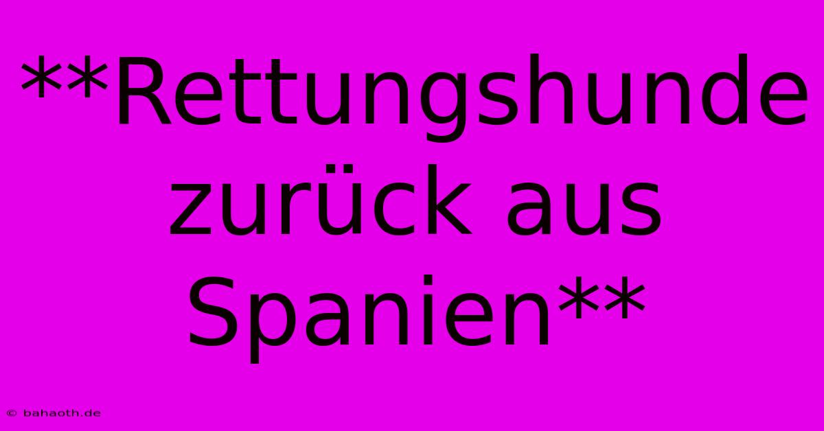 **Rettungshunde Zurück Aus Spanien**