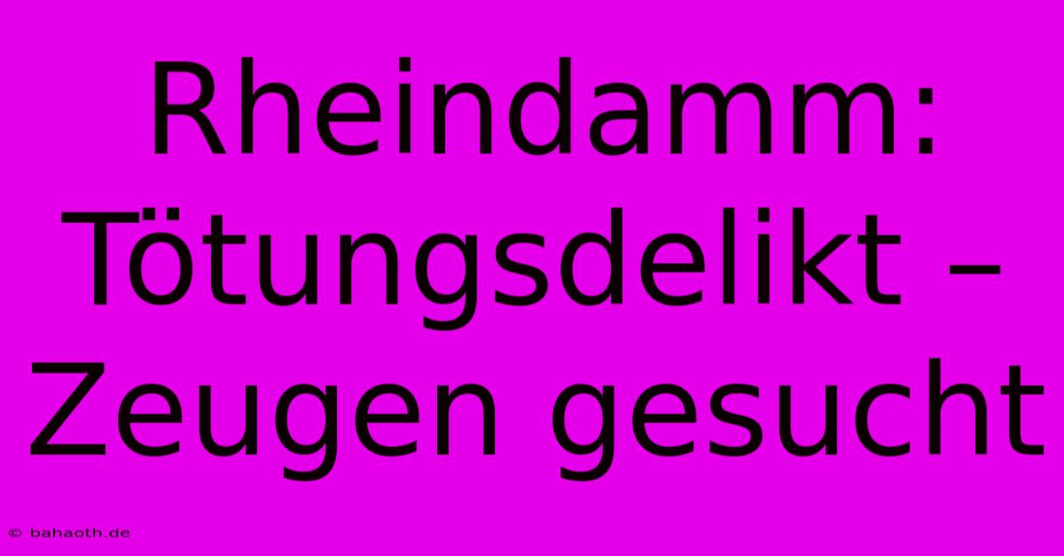 Rheindamm: Tötungsdelikt – Zeugen Gesucht