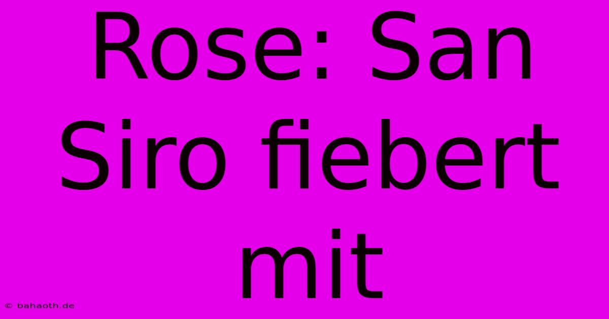 Rose: San Siro Fiebert Mit