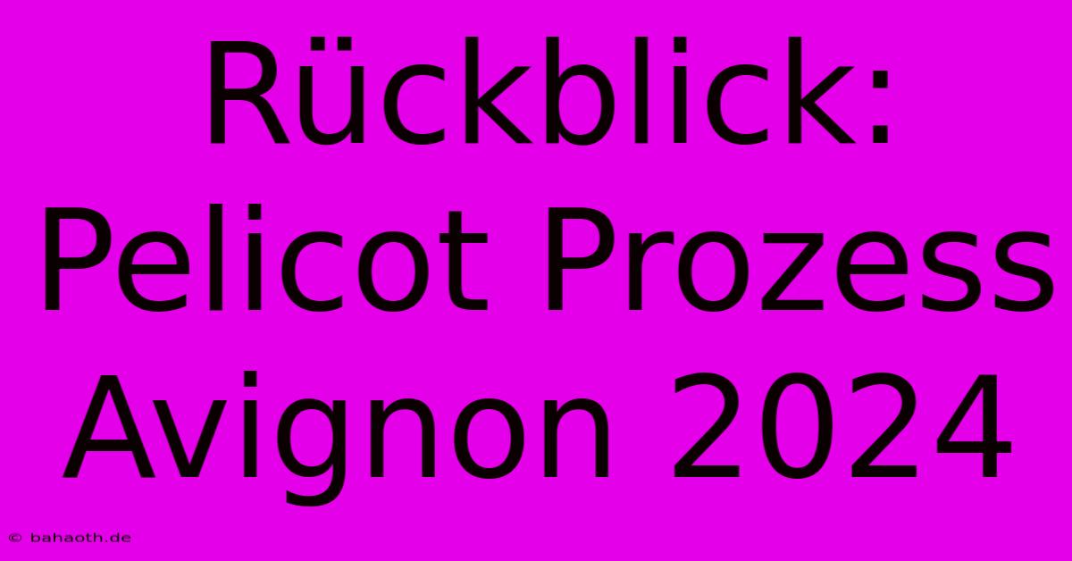 Rückblick: Pelicot Prozess Avignon 2024