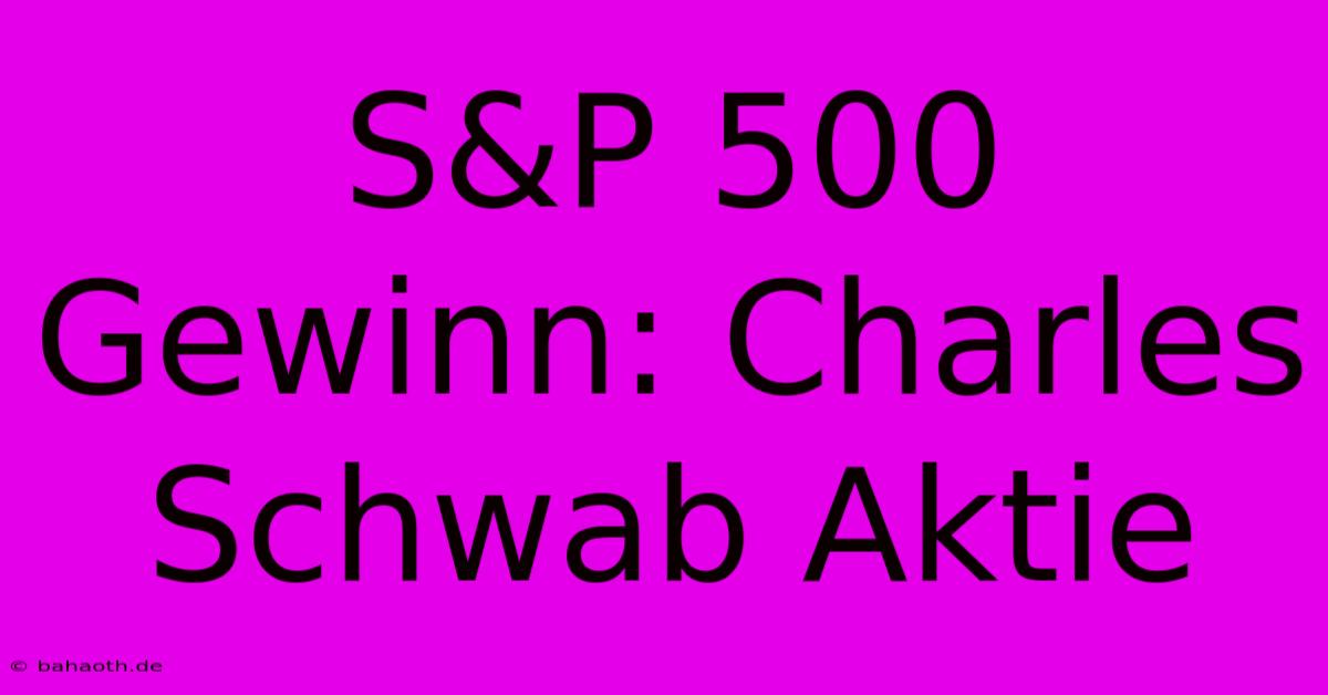 S&P 500 Gewinn: Charles Schwab Aktie