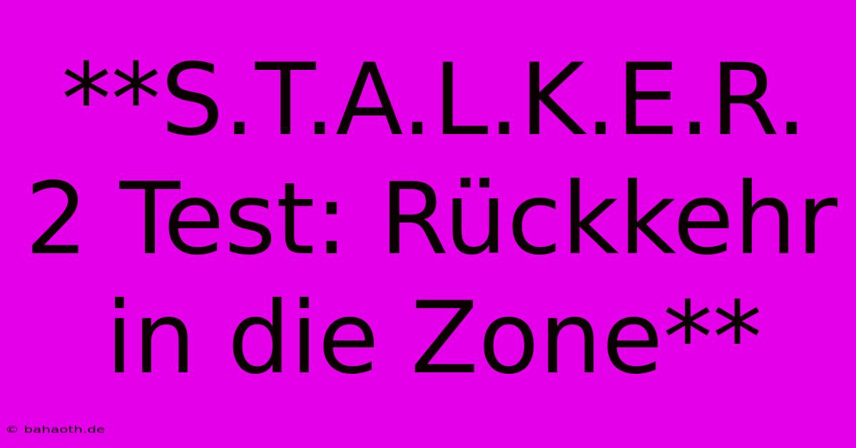 **S.T.A.L.K.E.R. 2 Test: Rückkehr In Die Zone**