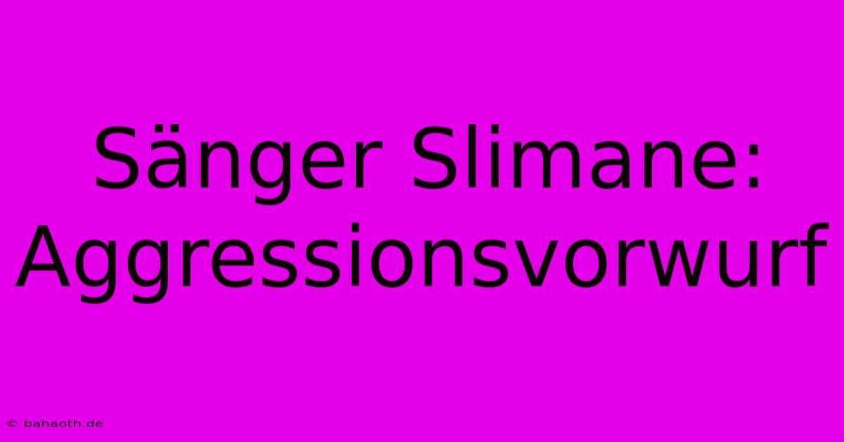 Sänger Slimane:  Aggressionsvorwurf