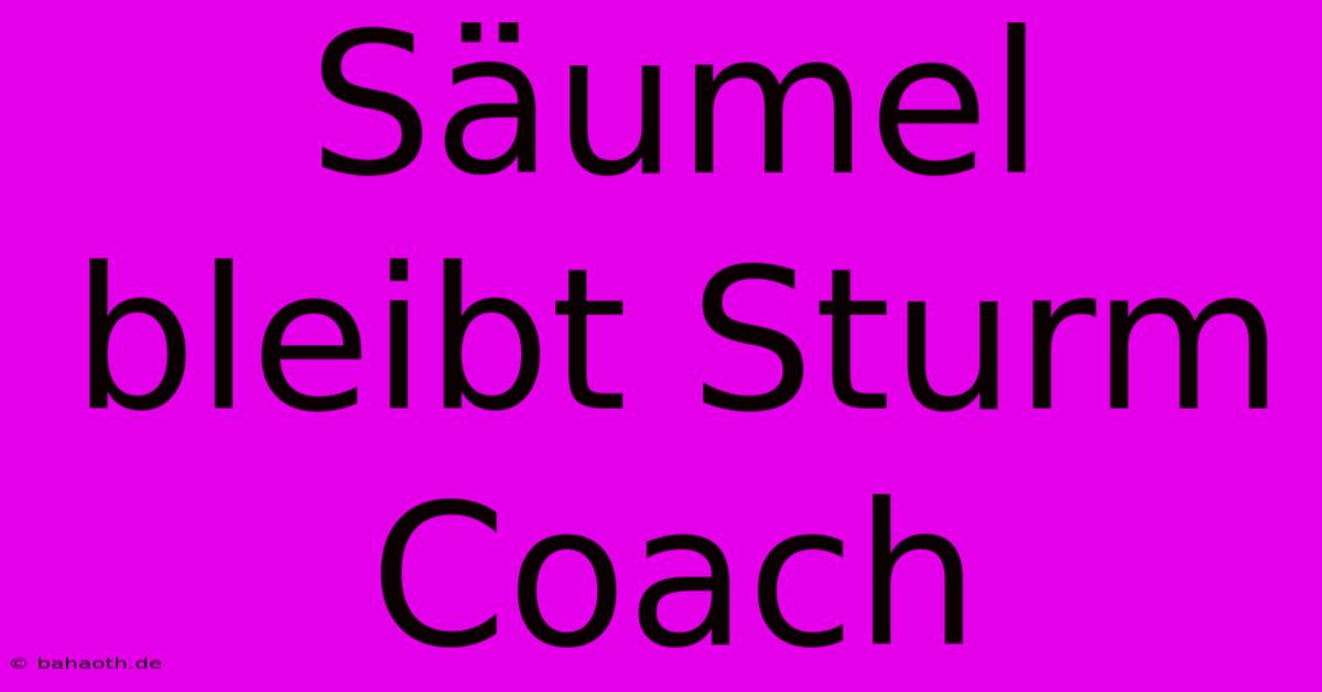 Säumel Bleibt Sturm Coach