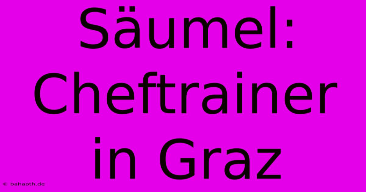 Säumel: Cheftrainer In Graz