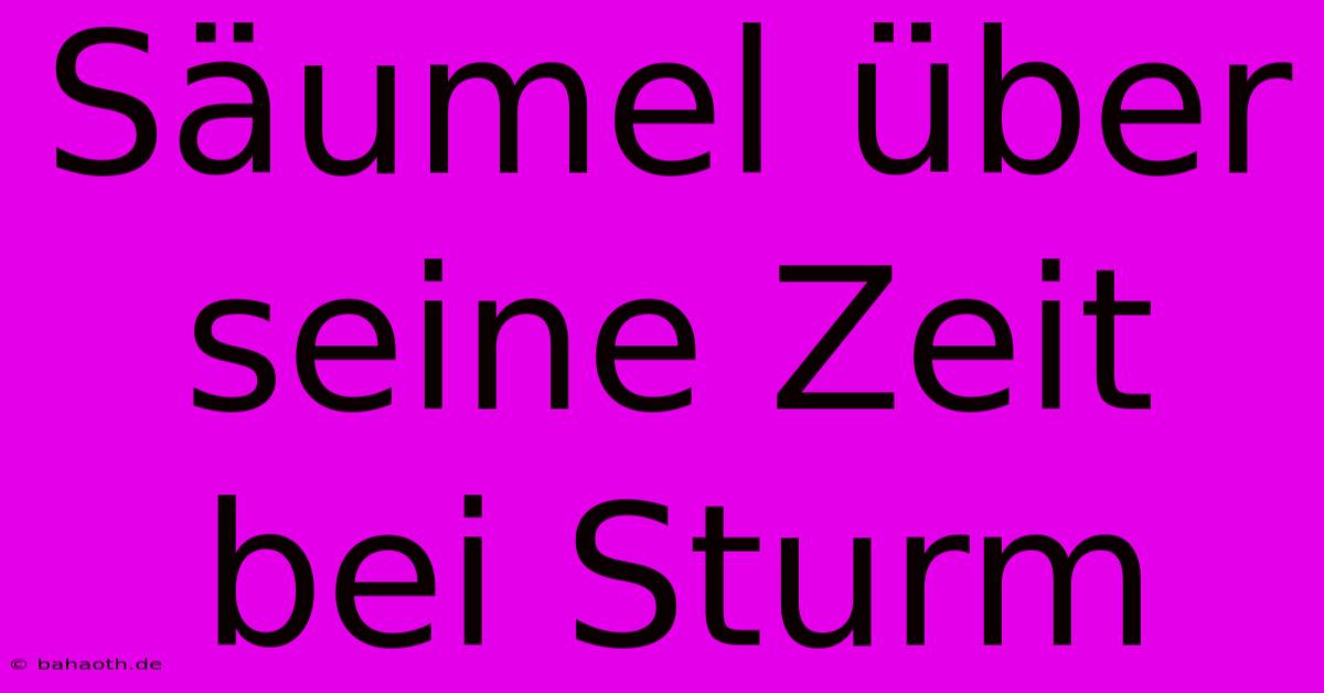 Säumel Über Seine Zeit Bei Sturm