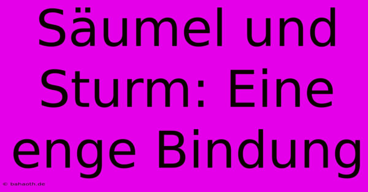 Säumel Und Sturm: Eine Enge Bindung