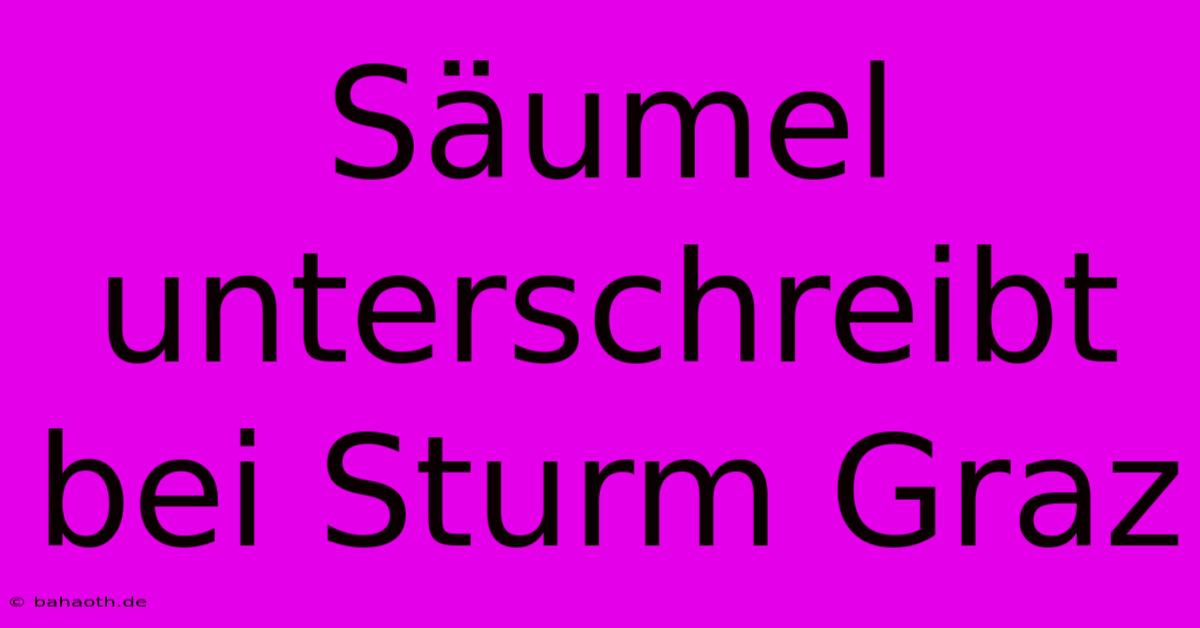 Säumel Unterschreibt Bei Sturm Graz