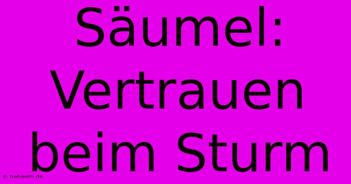 Säumel:  Vertrauen Beim Sturm