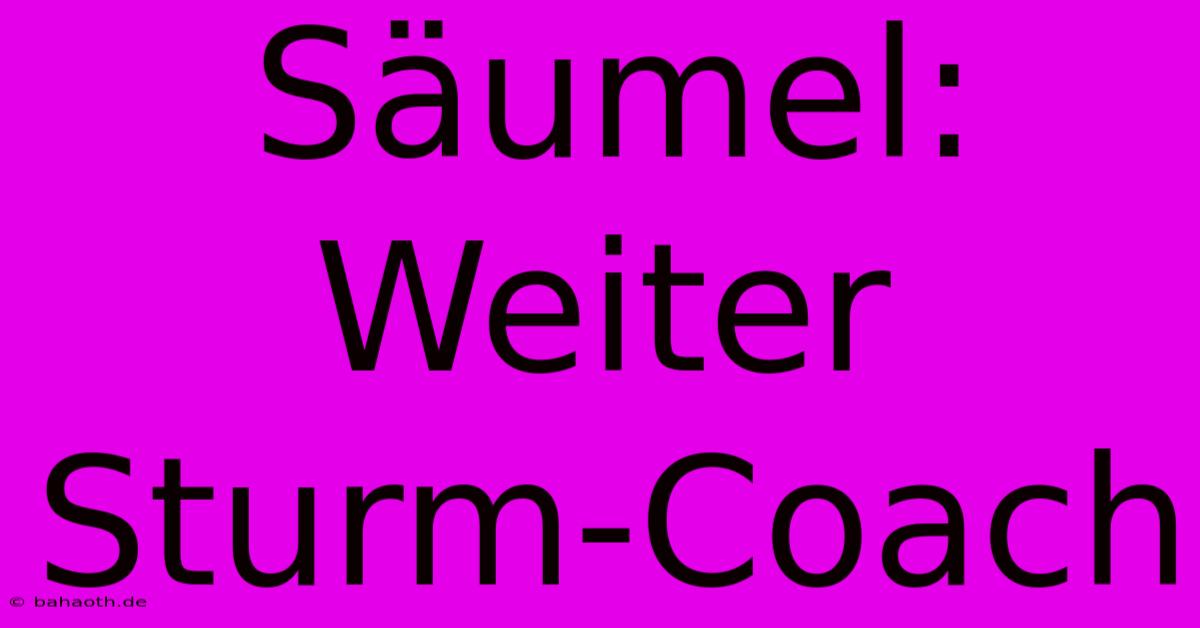 Säumel: Weiter Sturm-Coach