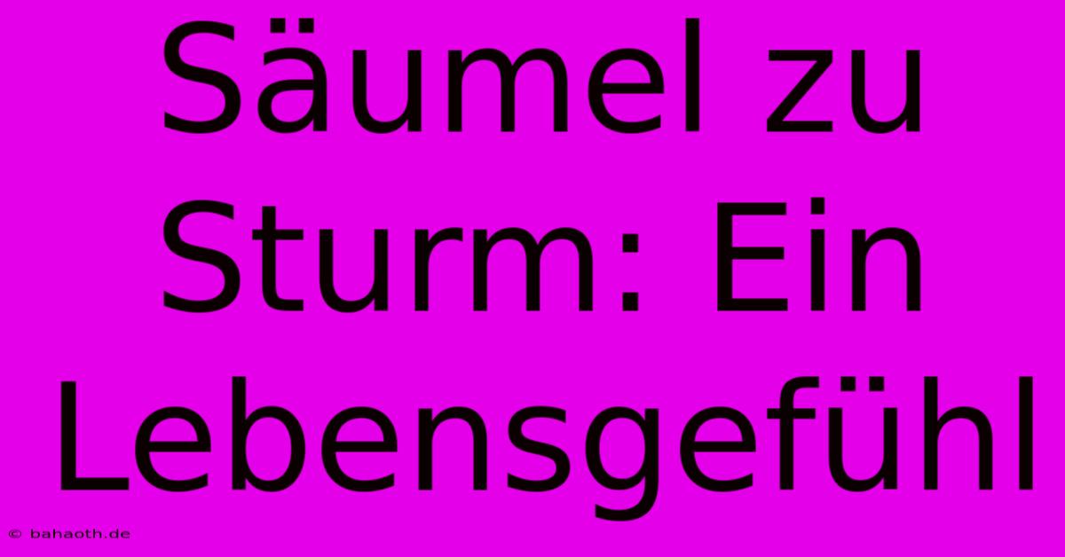 Säumel Zu Sturm: Ein Lebensgefühl