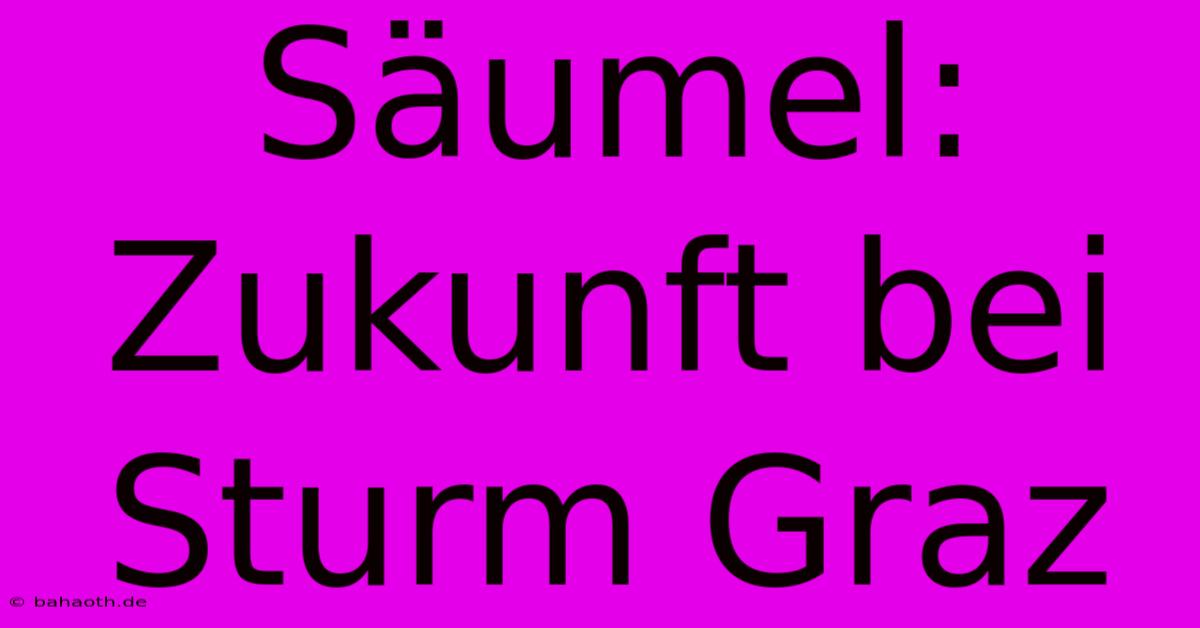 Säumel: Zukunft Bei Sturm Graz