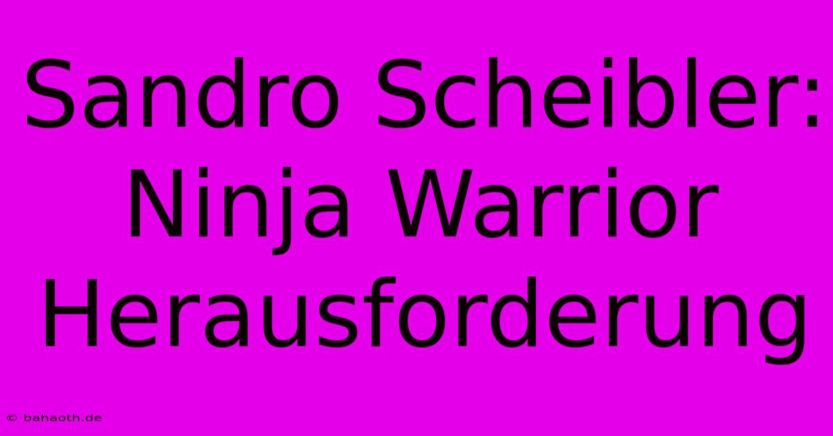 Sandro Scheibler: Ninja Warrior Herausforderung