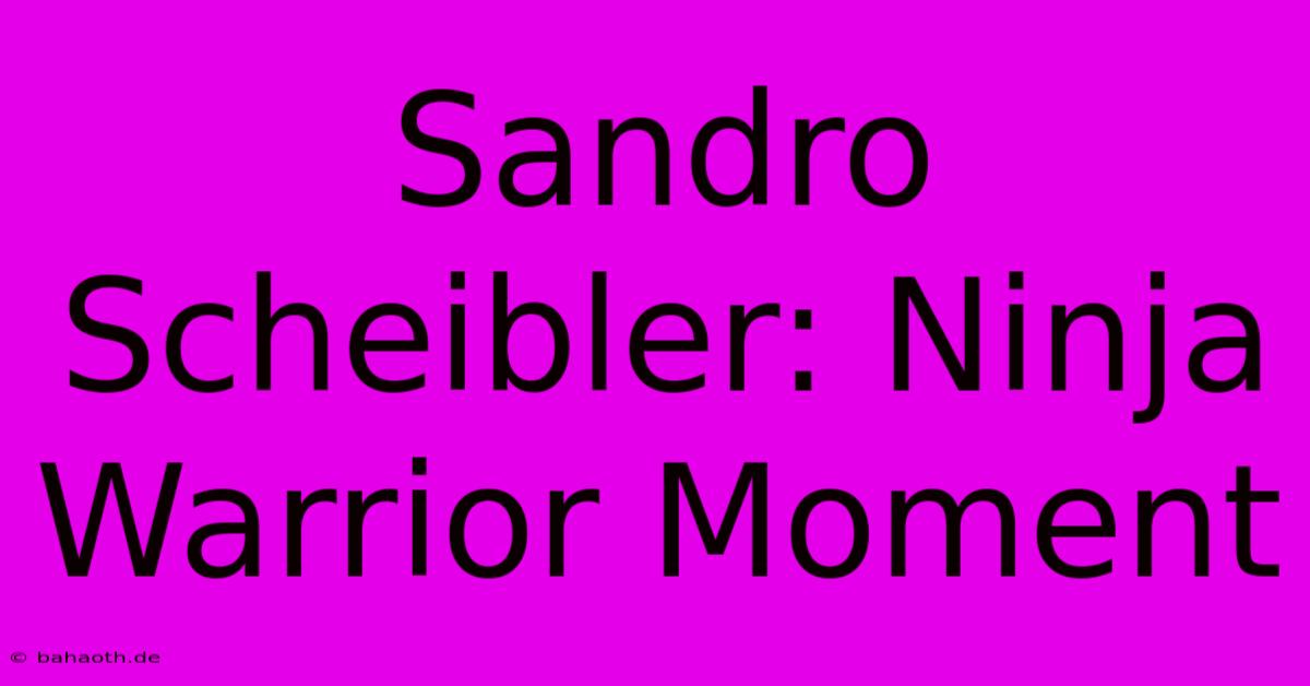 Sandro Scheibler: Ninja Warrior Moment