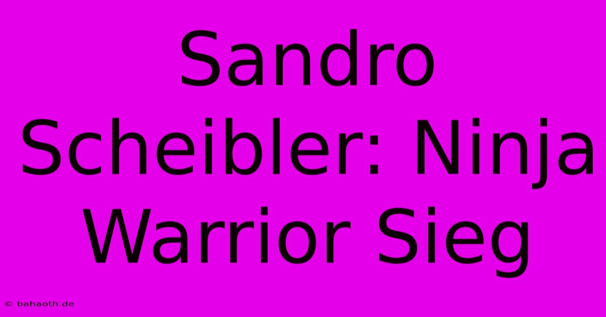 Sandro Scheibler: Ninja Warrior Sieg