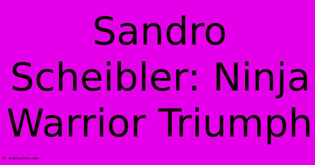 Sandro Scheibler: Ninja Warrior Triumph