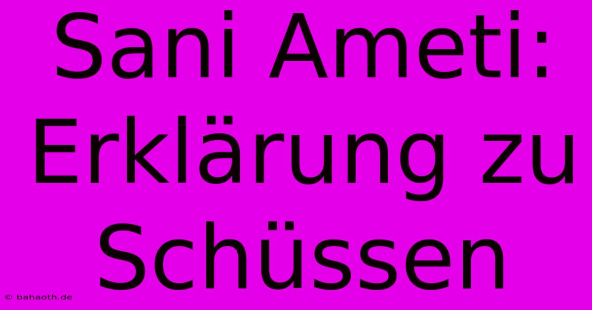 Sani Ameti: Erklärung Zu Schüssen