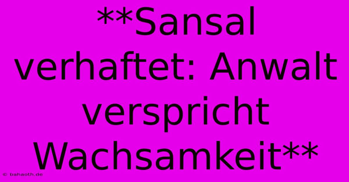 **Sansal Verhaftet: Anwalt Verspricht Wachsamkeit**