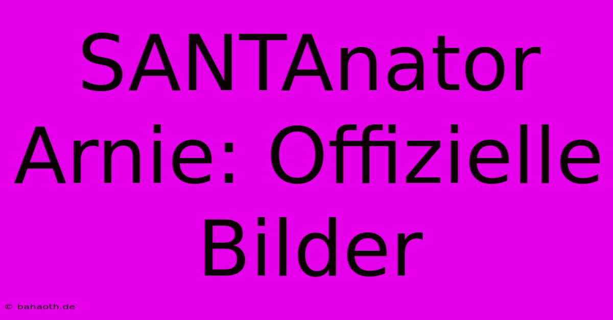 SANTAnator Arnie: Offizielle Bilder