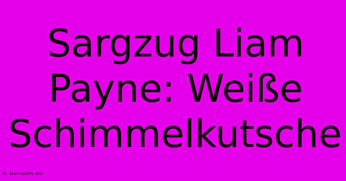 Sargzug Liam Payne: Weiße Schimmelkutsche