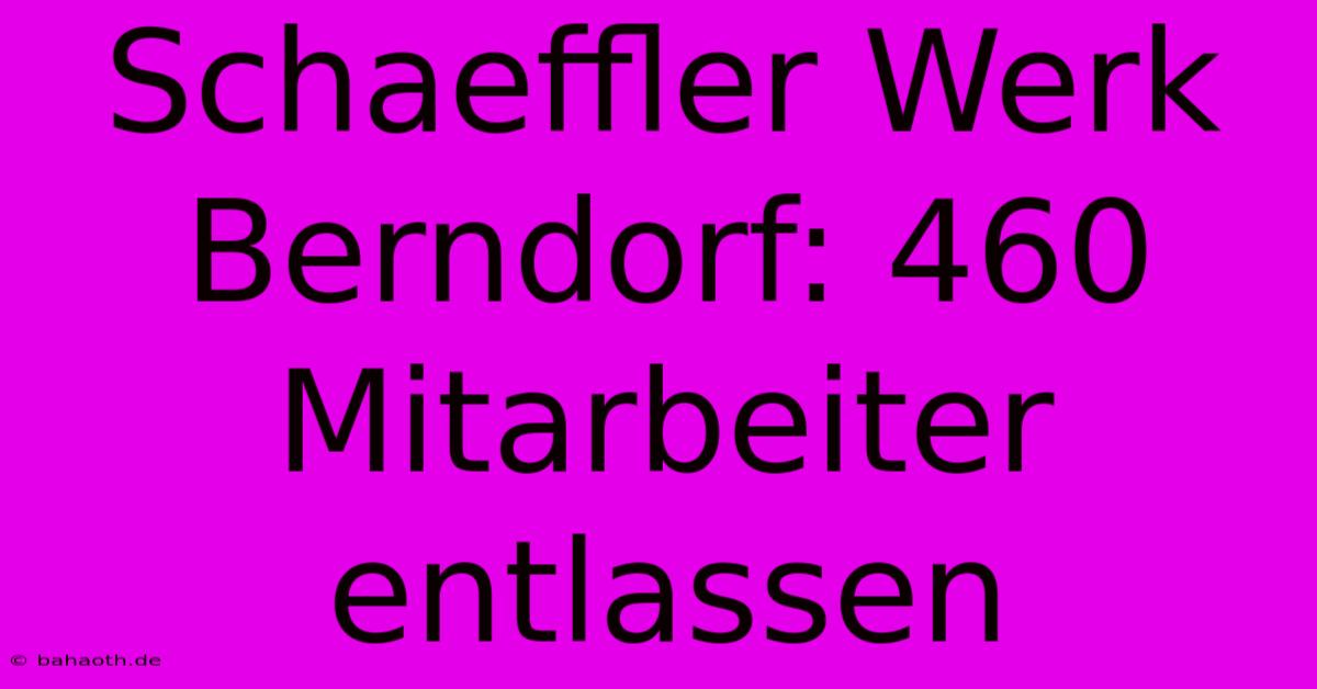 Schaeffler Werk Berndorf: 460 Mitarbeiter Entlassen