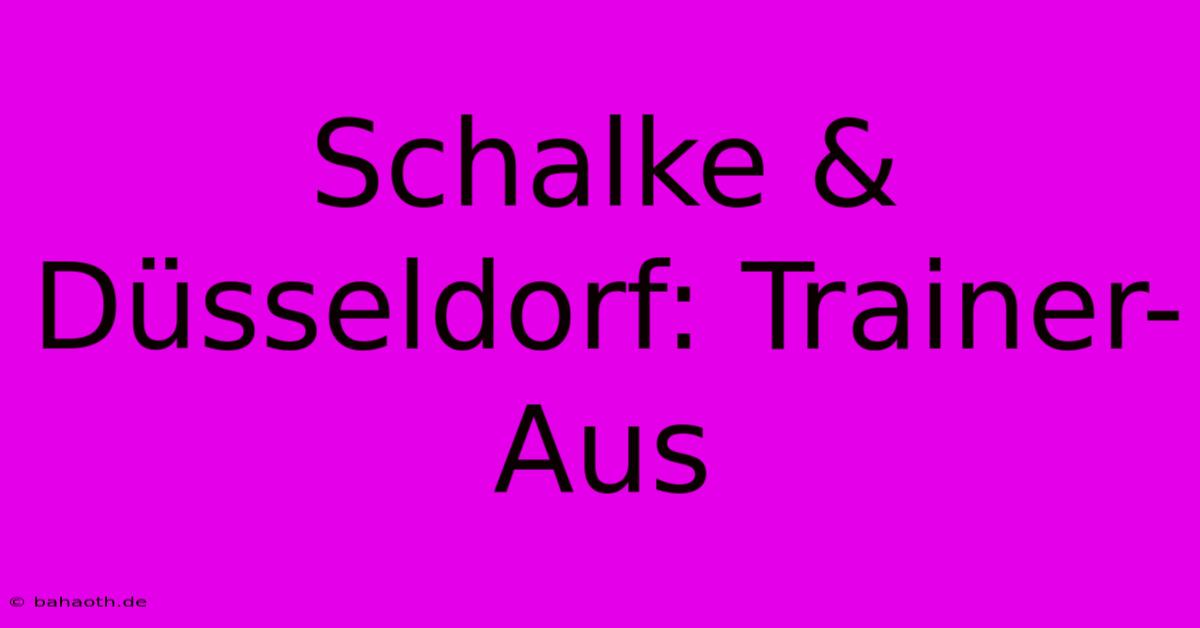 Schalke & Düsseldorf: Trainer-Aus